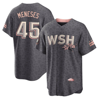 Replica Joey Meneses Youth Washington Nationals 2022 City Connect Jersey - Gray